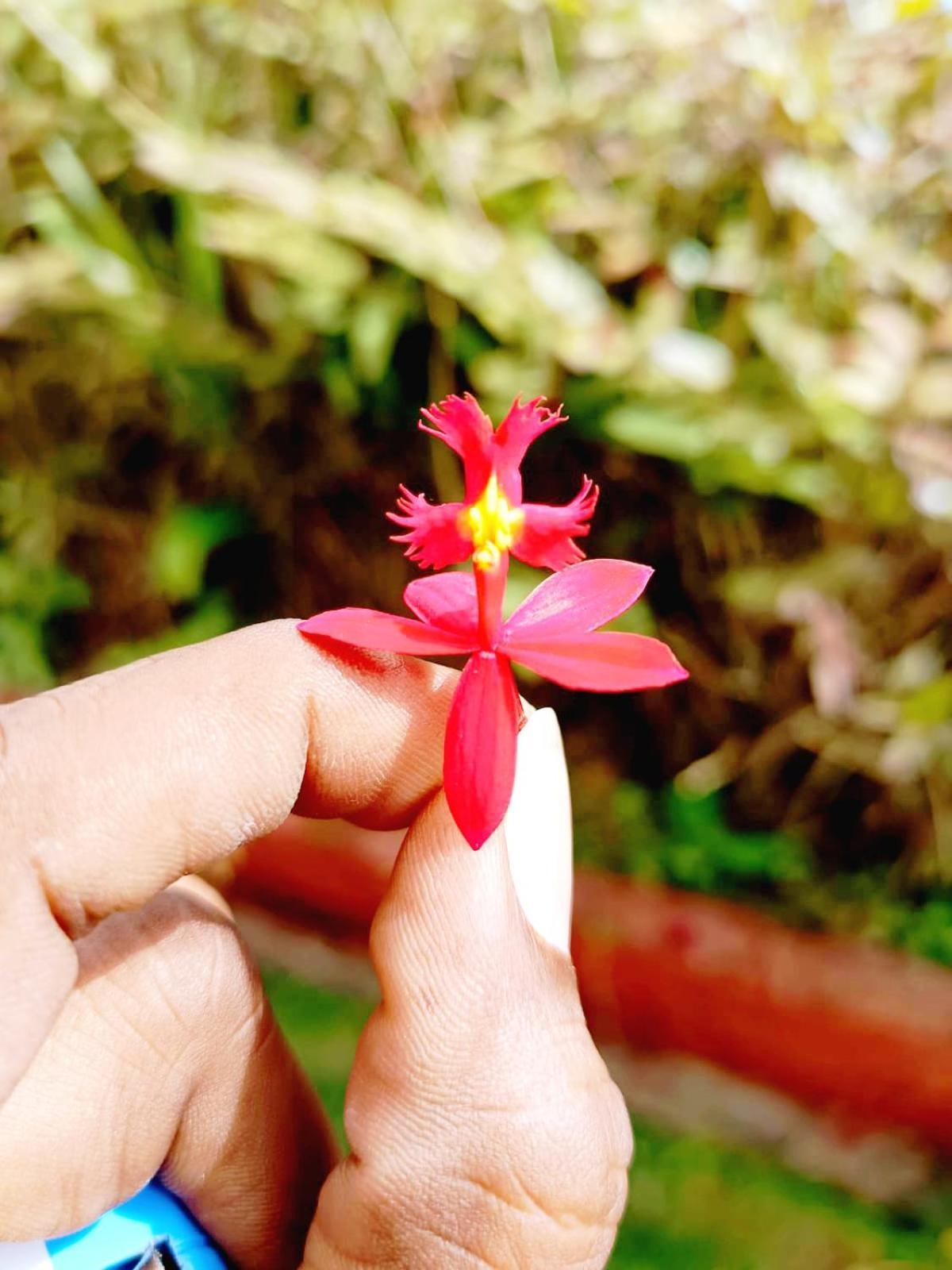 Kodai Riya Paradise 코다이카날 외부 사진